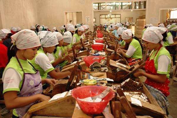 Gagal Kendalikan Tembakau, Bisnis Rokok Merajarela