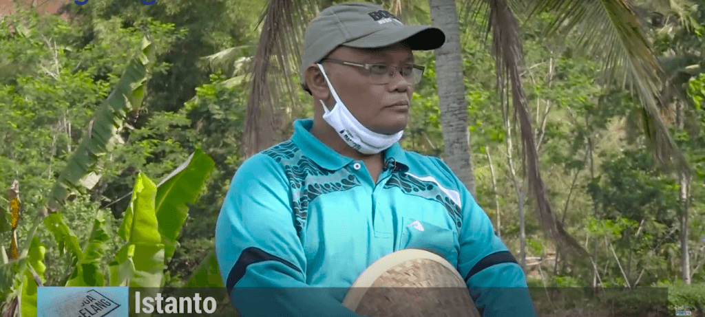 Lebih Untung, Jadi Alasan Petani Alih Tanam Tembakau ke Ubi Jalar