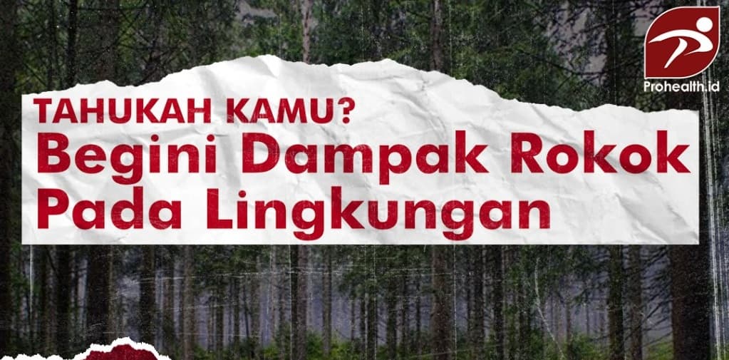 Tahukah Kamu? Begini Dampak Rokok pada Lingkungan