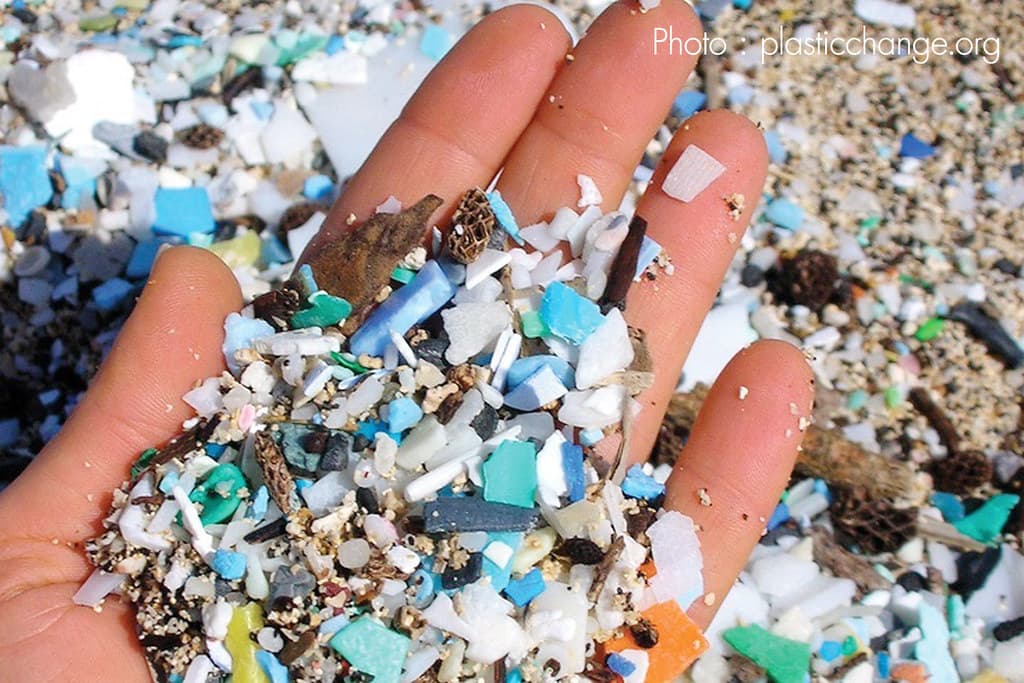 Menguji Dampak Mikroplastik pada Tubuh Manusia