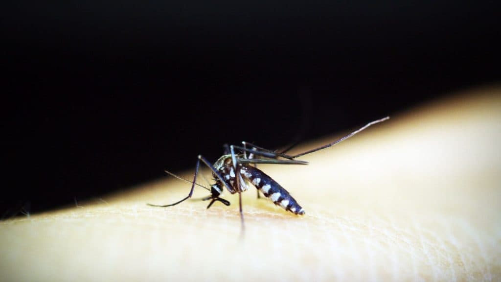 Wabah DBD dan Malaria Serang Kabupaten Nias Selatan