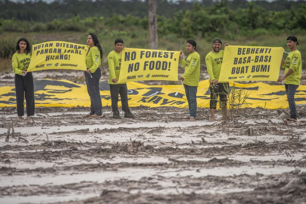 Arogansi Food Estate terhadap Lingkungan