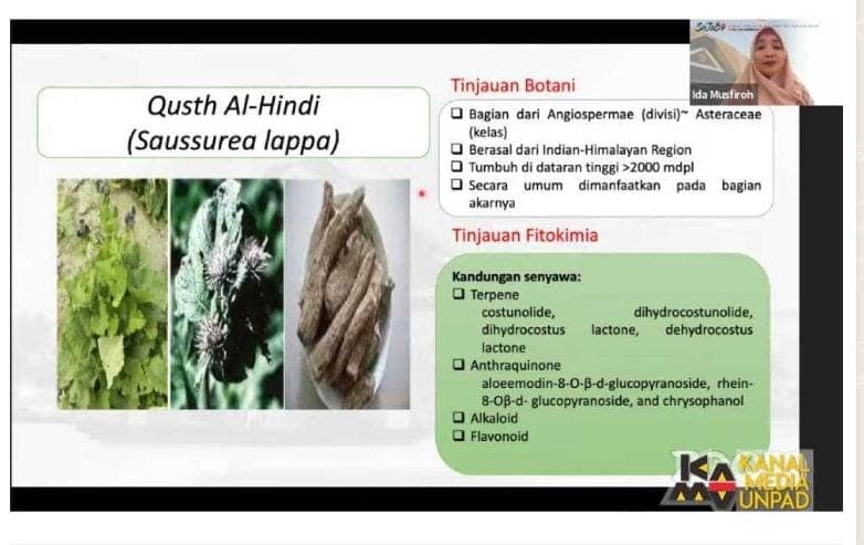 Guru Besar Fakultas Farmasi Universitas Padjadjaran Prof. Ida Musfiroh menjadi pembicara pada diskusi Satu Jam Berbincang Ilmu (Sajabi) “Potensi Qusth Al-Hindi sebagai Antiradang” yang diselenggarakan Dewan Profesor Unpad secara daring, Sabtu (2/3/2024). Dok. Prohealth.id
