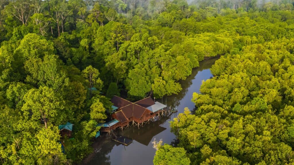 HARI LAHAN BASAH SEDUNIA: Kunci Capai Target Pengurangan Emisi