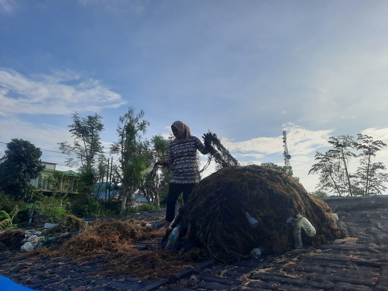 Rumput Lautku Sayang, Rumput Lautku Malang