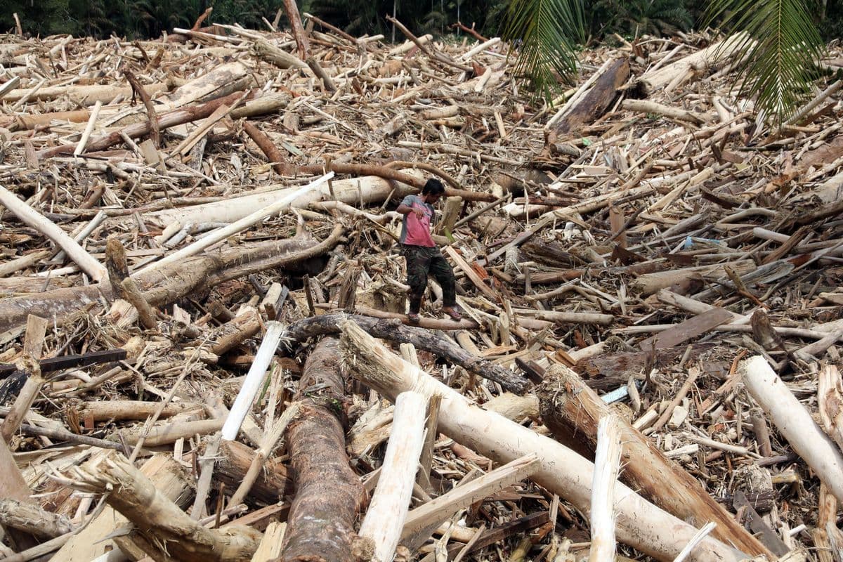 Sumatra Kembali Diterjang Banjir dan Longsor, Pemulihan Ekologis yang Belum Tuntas