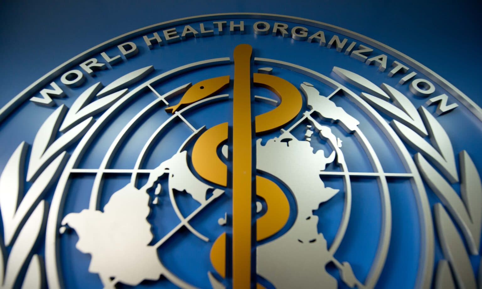 Estimasi Baru WHO Menunjukkan Perubahan Lanskap Kesehatan Global