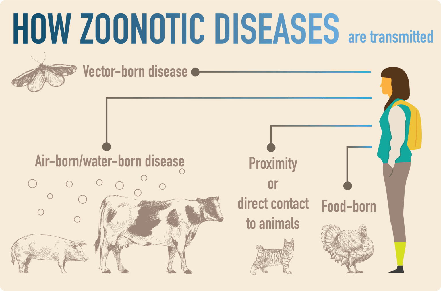 WHO Apresiasi Indonesia dalam One Health untuk Kurangi Risiko Penyakit Zoonosis Prioritas