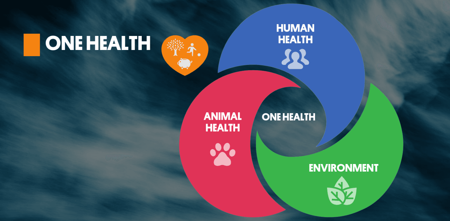 Mewujudkan Visi One Health Menjadi Tindakan Nyata dengan Inisiatif Baru