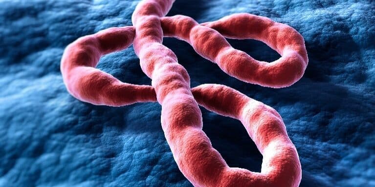 WHO Sambut Baik Alokasi Vaksin Ebola ke Republik Demokratik Kongo