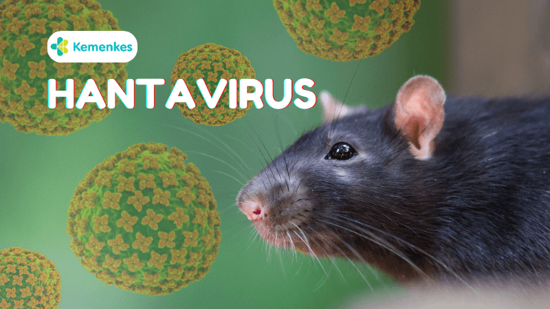 Penjelasan Kementerian Kesehatan RI Ihwal Hantavirus