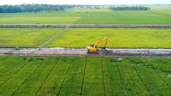 Walhi Bongkar Klaim Swasembada dan Penurunan Harga Beras