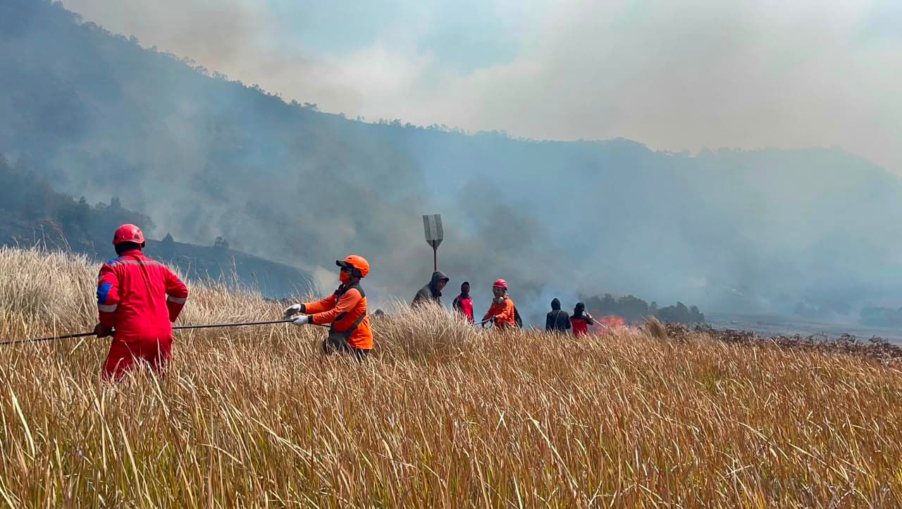 WALHI: Pemerintah Gagal Atasi Karhutla, Kandas Hentikan Kebakaran TPA