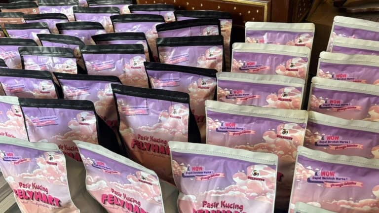 Mahasiswa Olah Ampas Tebu Jadi Pasir Kucing Organik Antimikroba