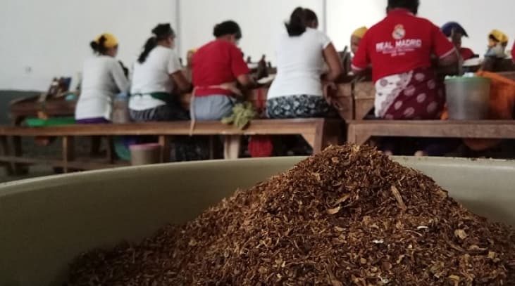 Industri Rokok Bertarung, Anak Mati di Tengah-tengah