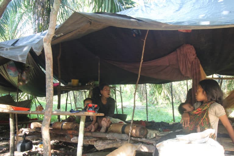 Hutan Hilang, Orang Rimba Hadapi Masalah Kesehatan