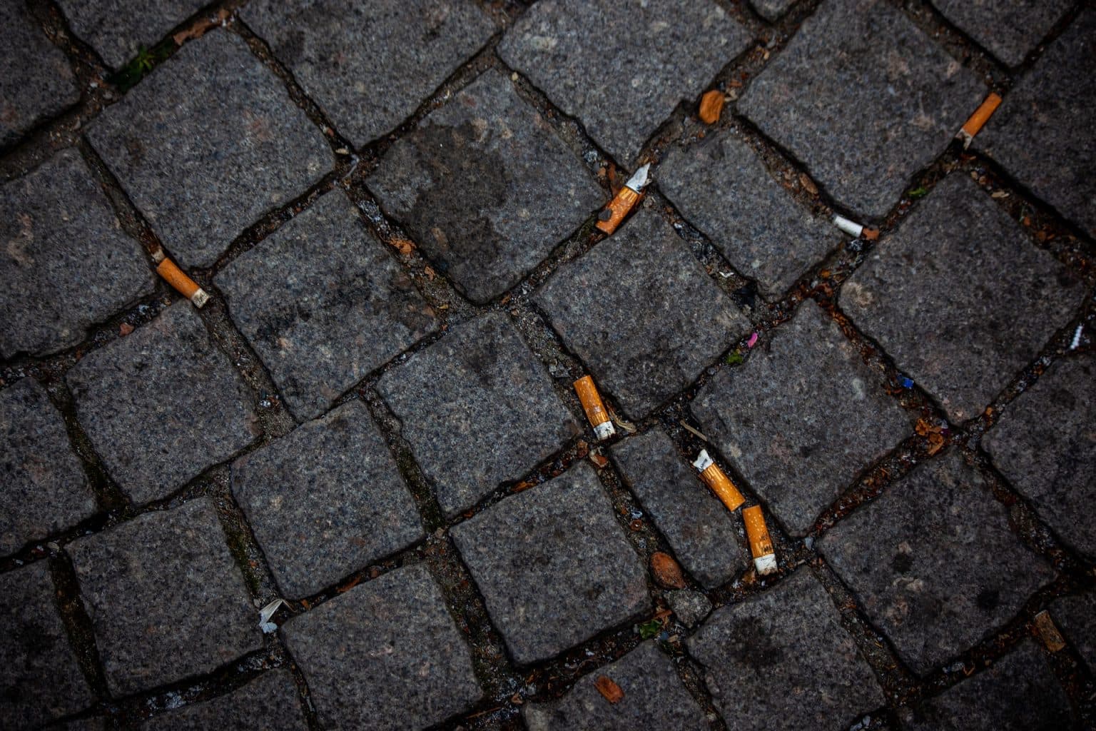 Simak 3 Dampak Buruk Puntung Rokok Terhadap Lingkungan