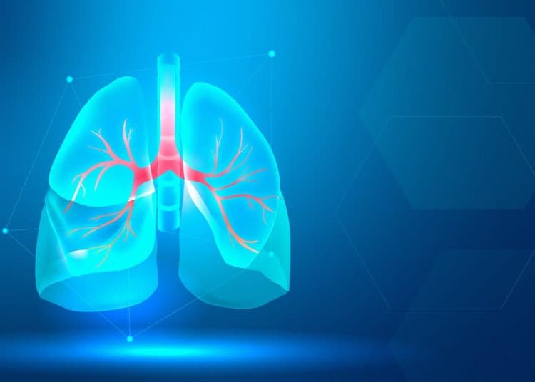 Simak Cara Menjaga Organ Paru Akibat Polusi Udara