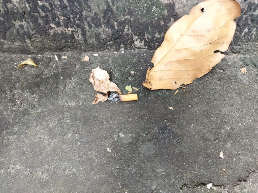 Perlu Menjadi Perhatian, Masalah Besar di Balik Buangan Kegiatan Merokok