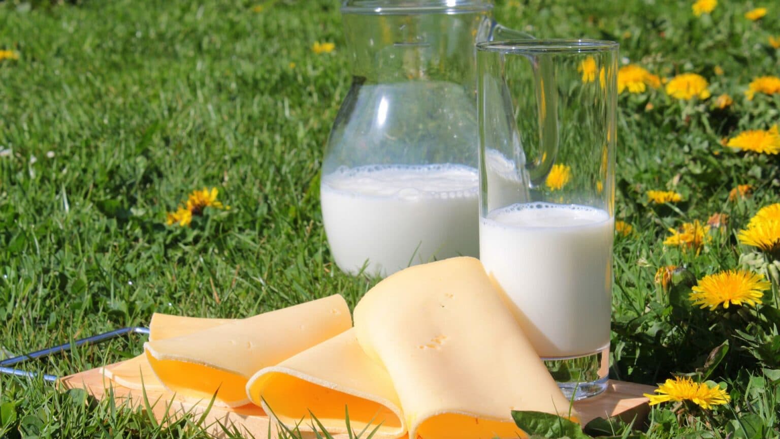 OBESITAS ANAK: Gula Tambahan Biang Penyakit