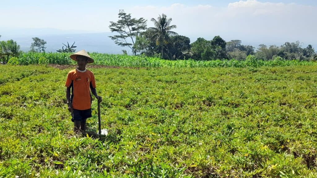 Hari Tani Nasional, FAKTA: Jangan Jadikan Petani Tameng Industri