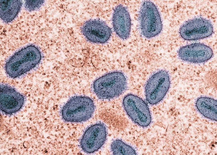 WHO-Kemenkes, Pantau Patogen Berpotensi Pandemi