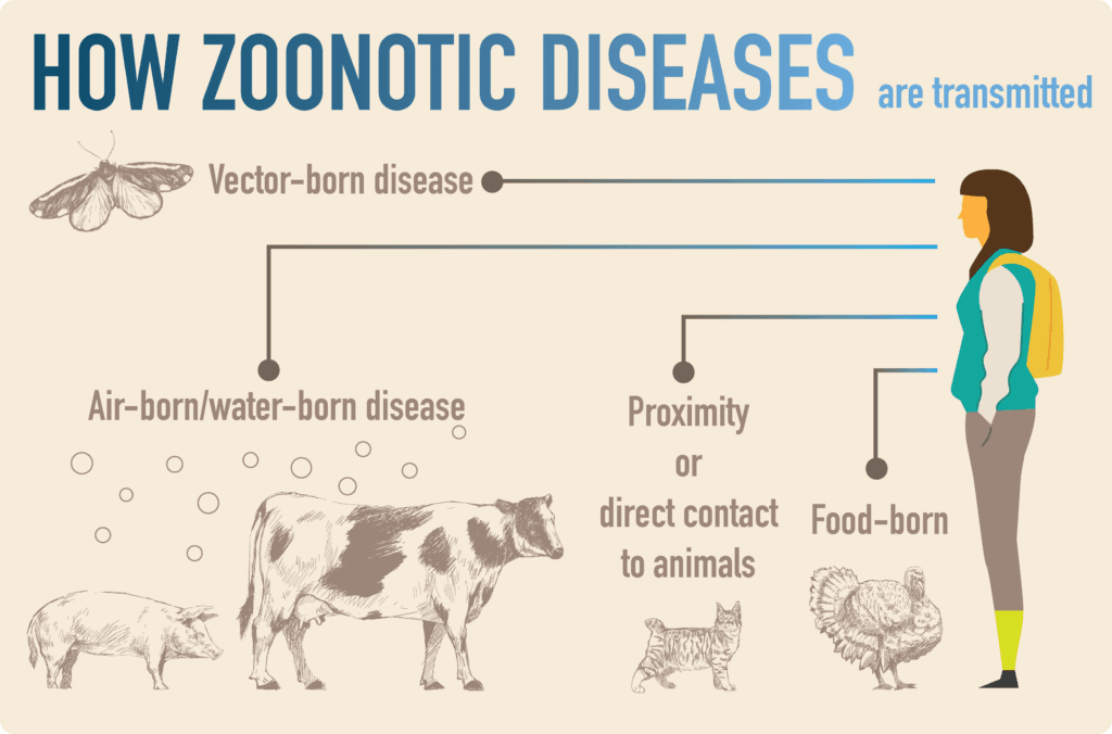 WHO Apresiasi Indonesia dalam One Health untuk Kurangi Risiko Penyakit Zoonosis Prioritas