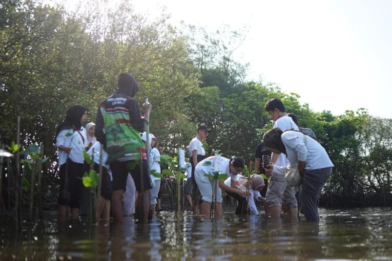 Tanam Mangrove dan Lepas Tukik di Pesisir Bantul