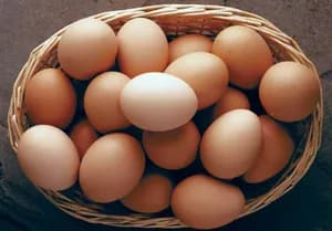 Telur Ceplok atau Telur Dadar, Mana Lebih Sehat?
