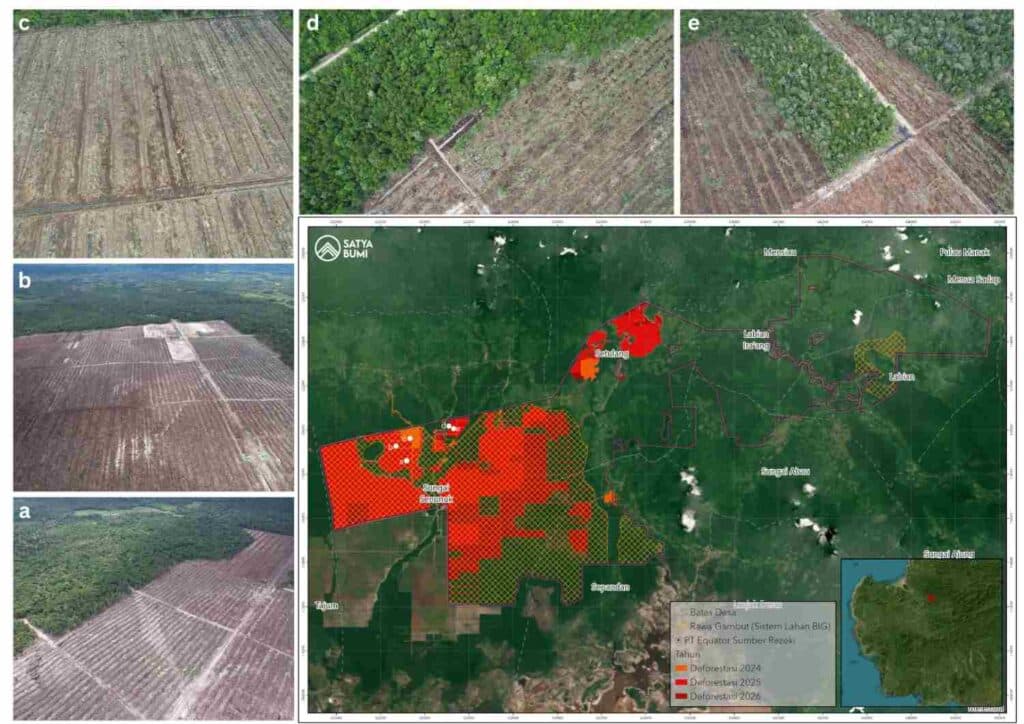 Pantau Gambut Respon Pelantikan Petinggi Badan Pengelola Gambut dan Mangrove Nasional
