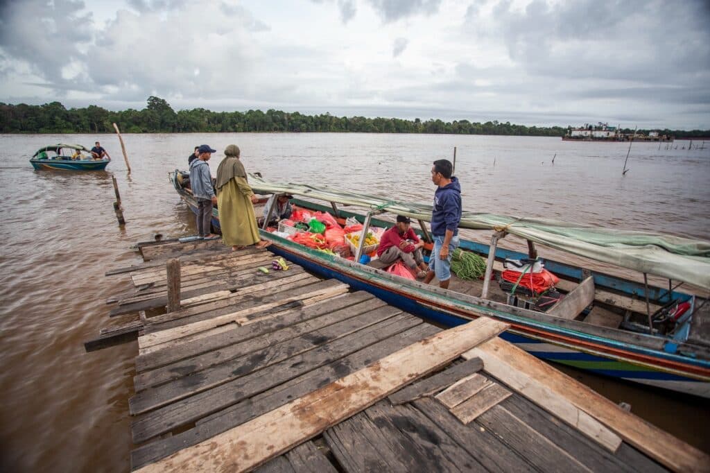 Hari Pangan Sedunia, FAO Serukan Peningkatan Inovasi untuk Menjamin Pangan Sehat